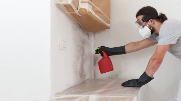 Professional Basement Mold Remediation technician working in Grawn, MI