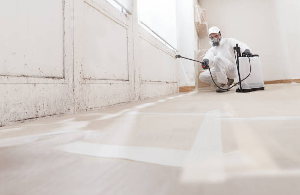 24/7 Emergency Basement Mold Remediation experts in Grawn, MI